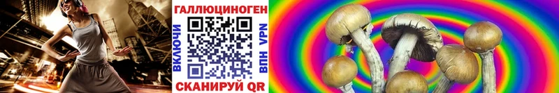 МЕГА tor  Гулькевичи  darknet клад  где можно купить наркотик  Псилоцибиновые грибы Cubensis 